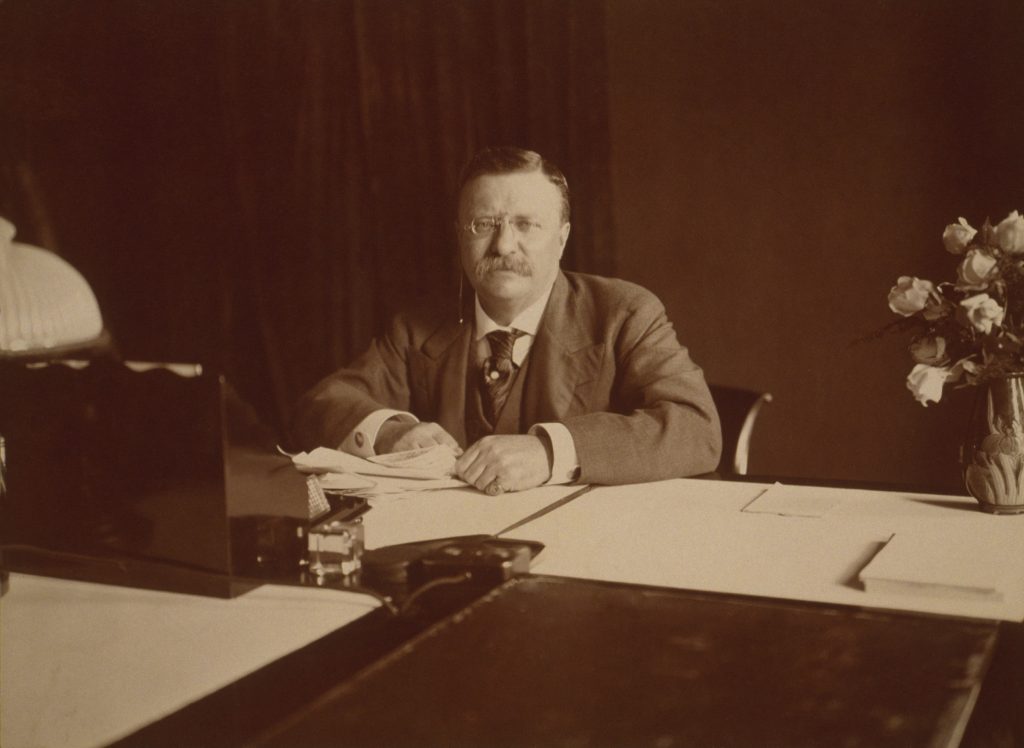 teddy roosevelt success quotes
