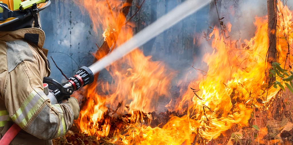 Wildfire Wordplay Jokes