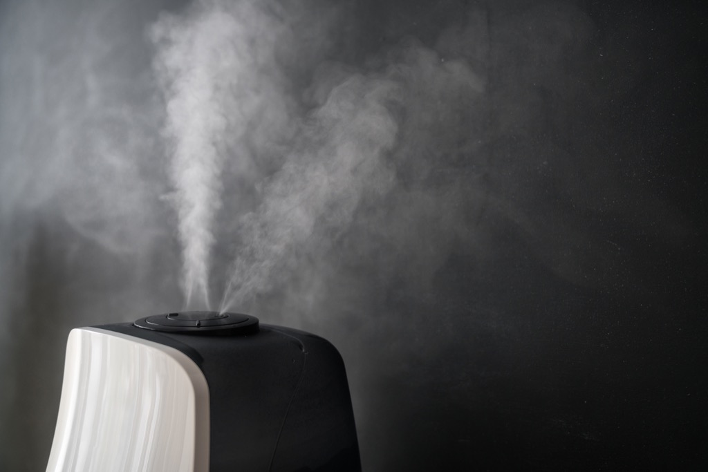 Humidifier Anti-Aging 