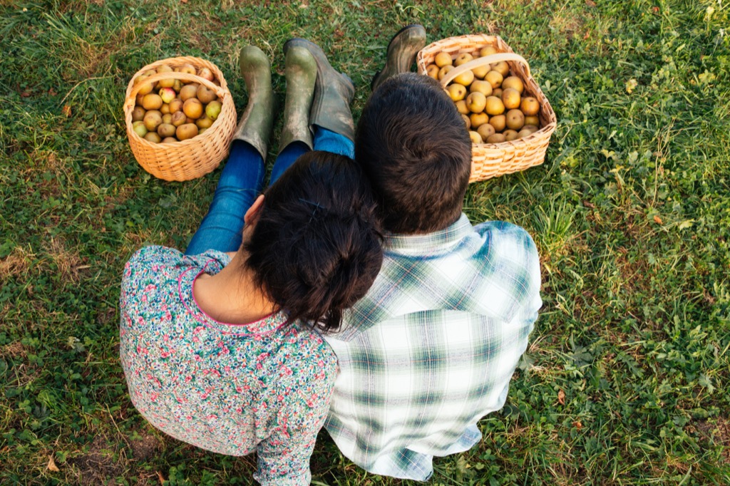 Apple picking, a great non-cliché second date. second date ideas
