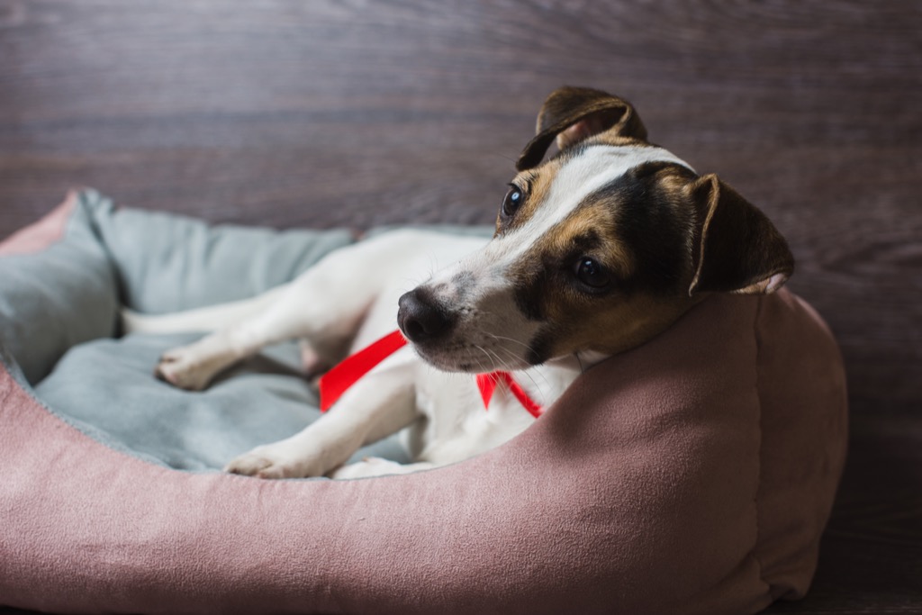 things divorced people know awesome facts