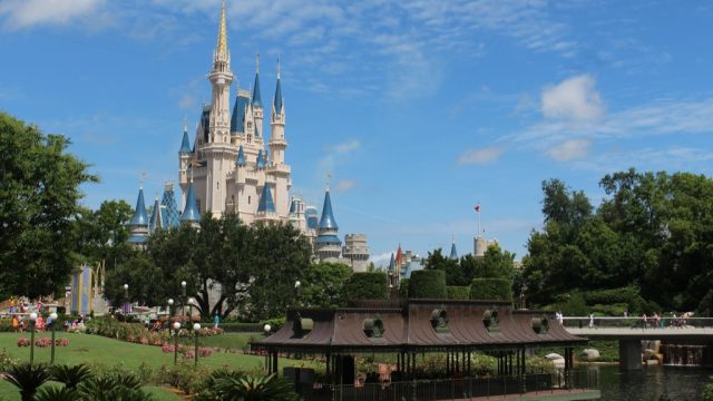 Disney World
