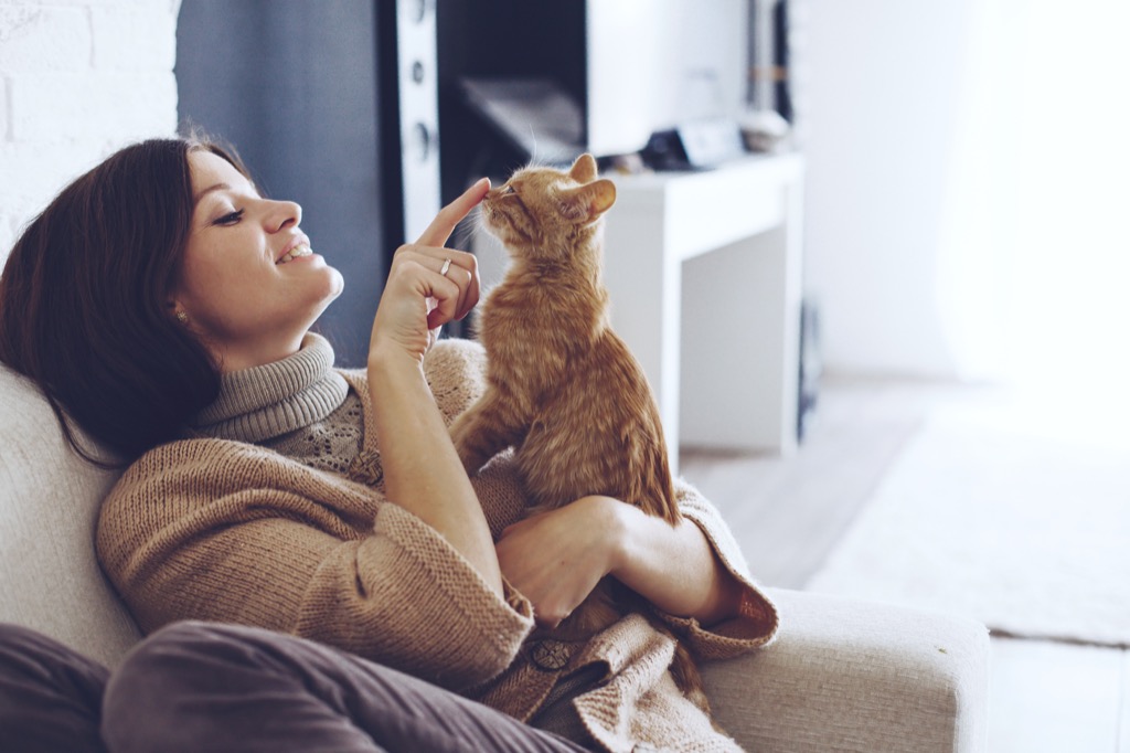 Cat Communicating to Owner