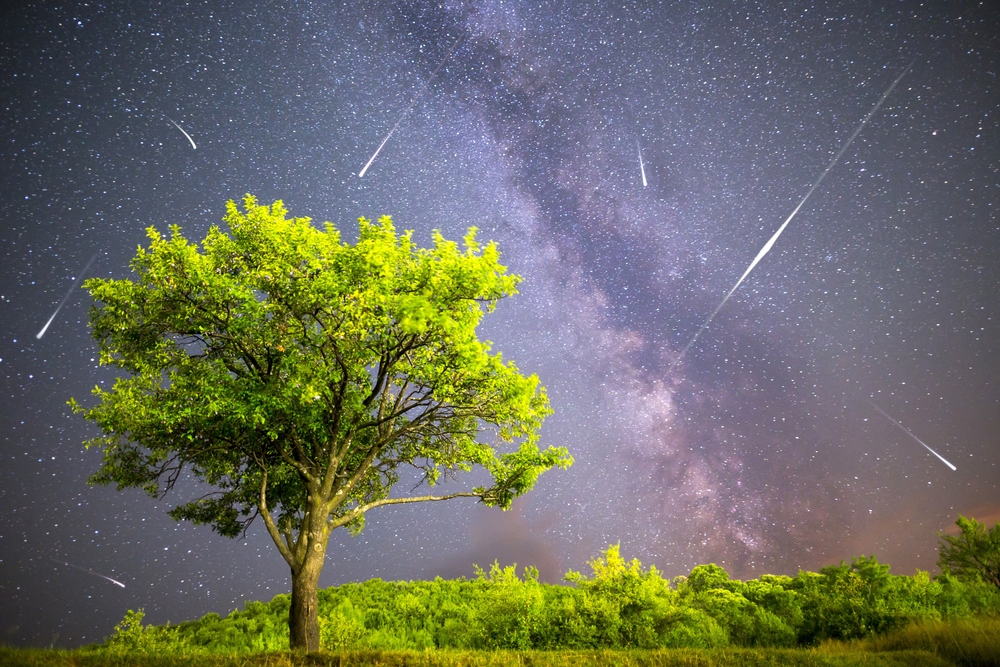 Meteor Shower