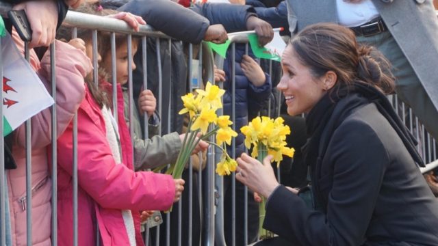 meghan markle