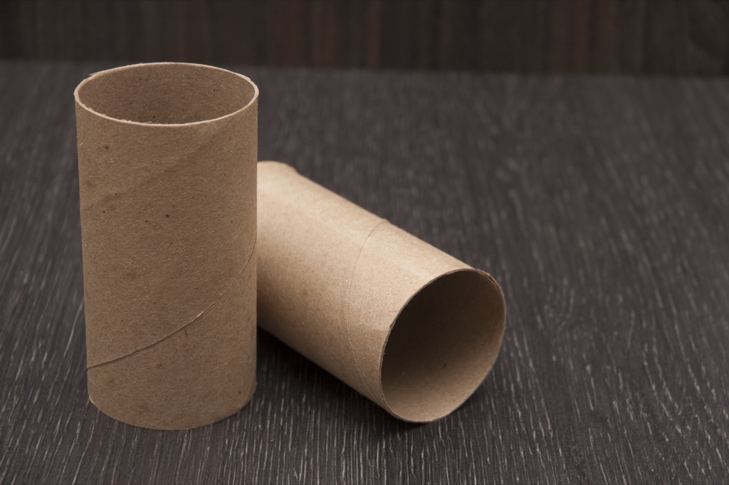 Toilet paper tube Organized