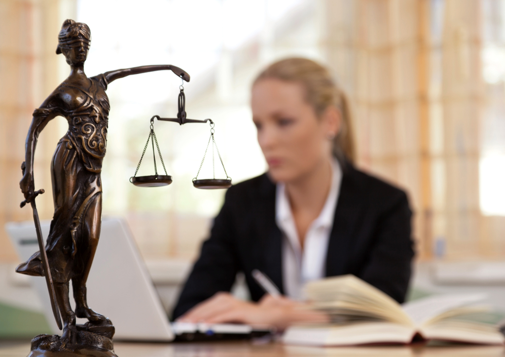 Lawyer in Office, facts about the lottery
