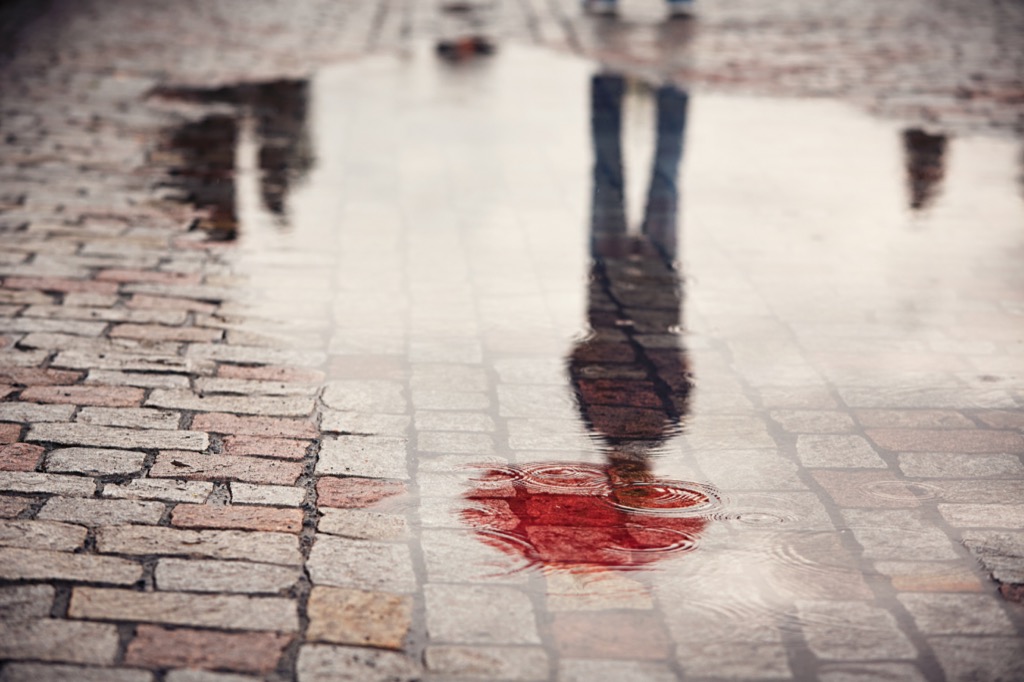puddles spring