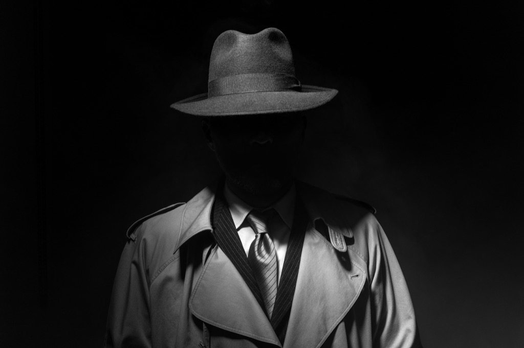 spy in the dark - deadliest animals