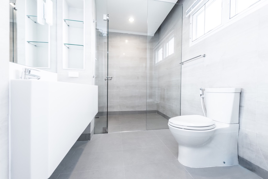 toilet