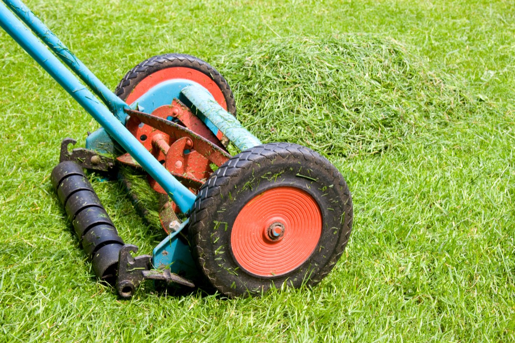 Lawnmower {Secrets Your Mailman Knows}