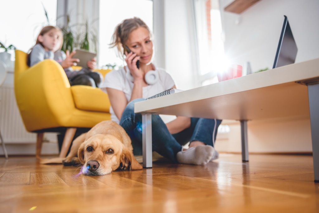 mom with daughter and dog, working mom