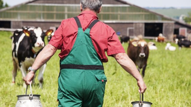 Dairy farmer