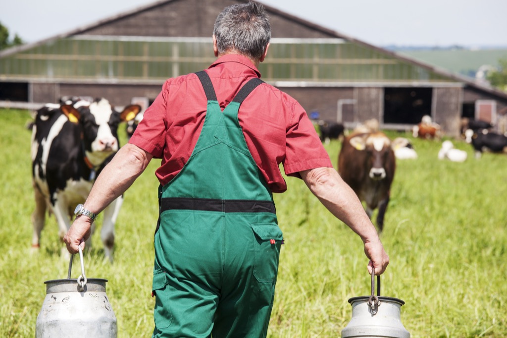 dairy farmer