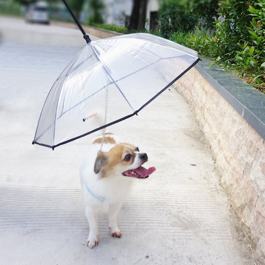 Dog Umbrella