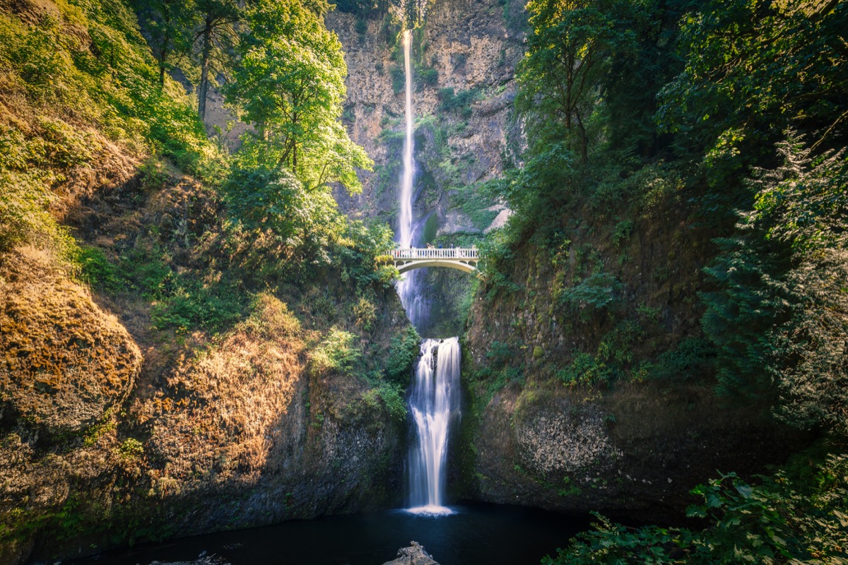 view of Multnomah Falls and the bridge