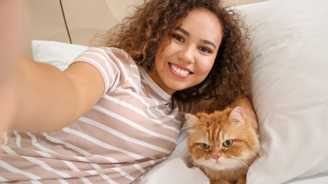 Owner taking photo with cat