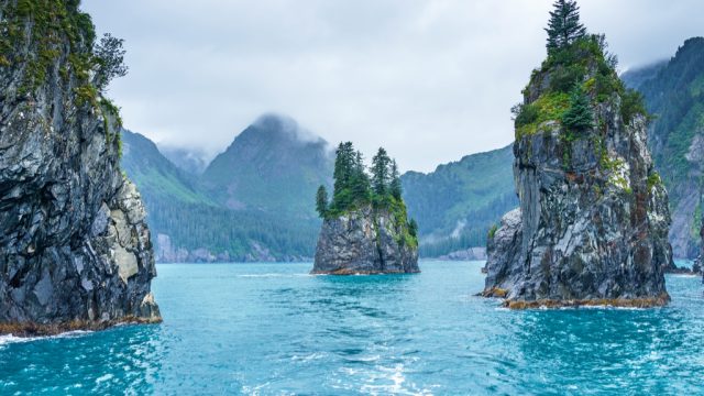 Porcupine Bay Kenai Fjords National Park Magical Destinations