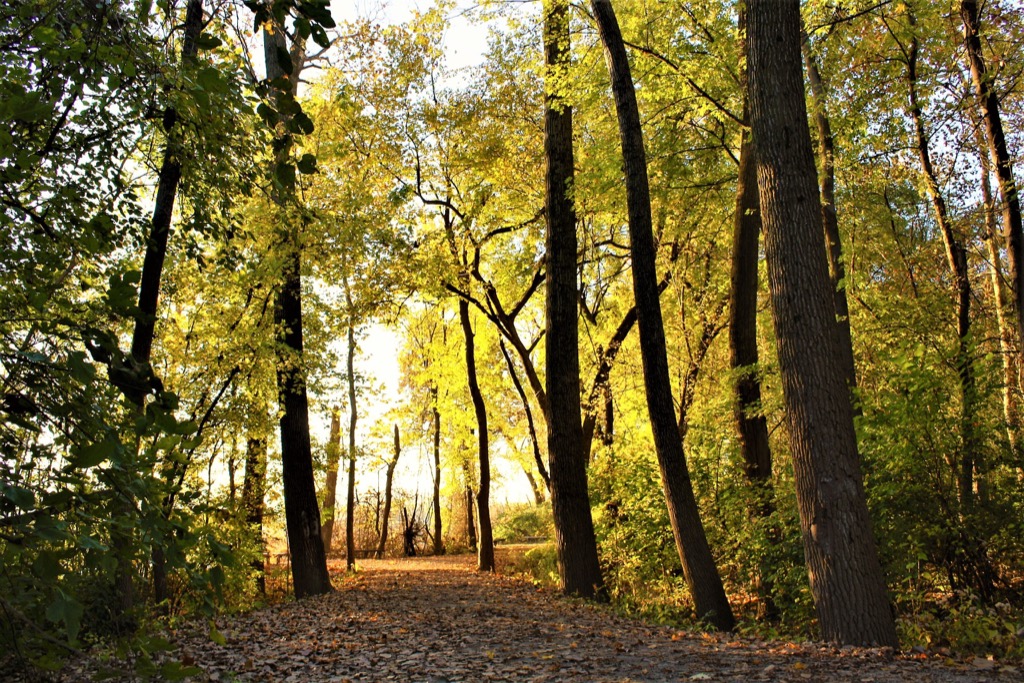 katy trail state park