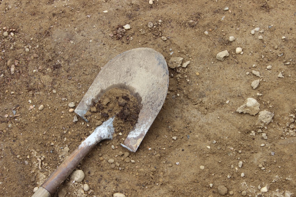 old shovel the biggest folk hero every state