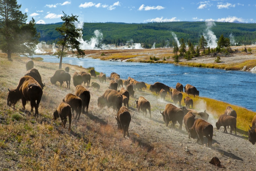 yellowstone national park most historic location in every state