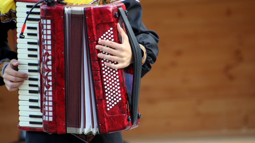Accordion player