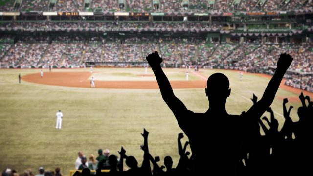 fan celebrating a baseball game