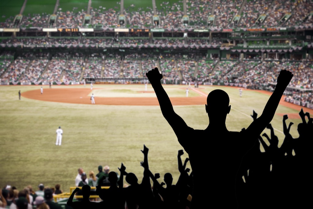 Fan celebrating in stands at baseball game