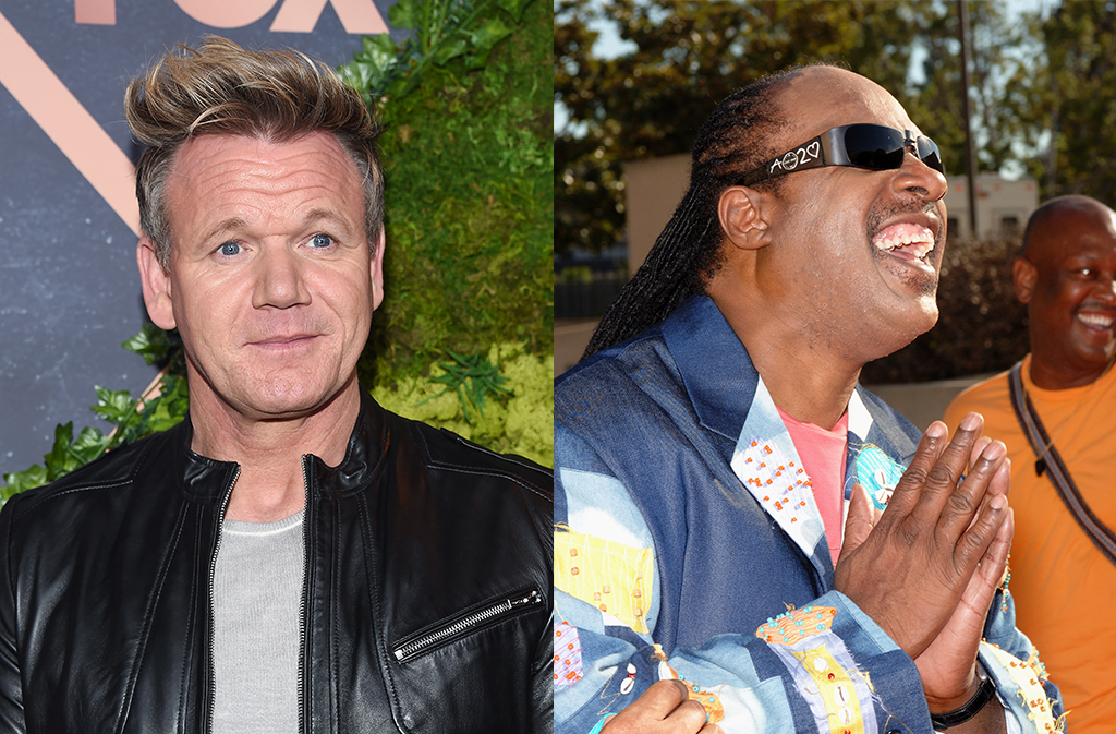 gordon ramsay and stevie wonder