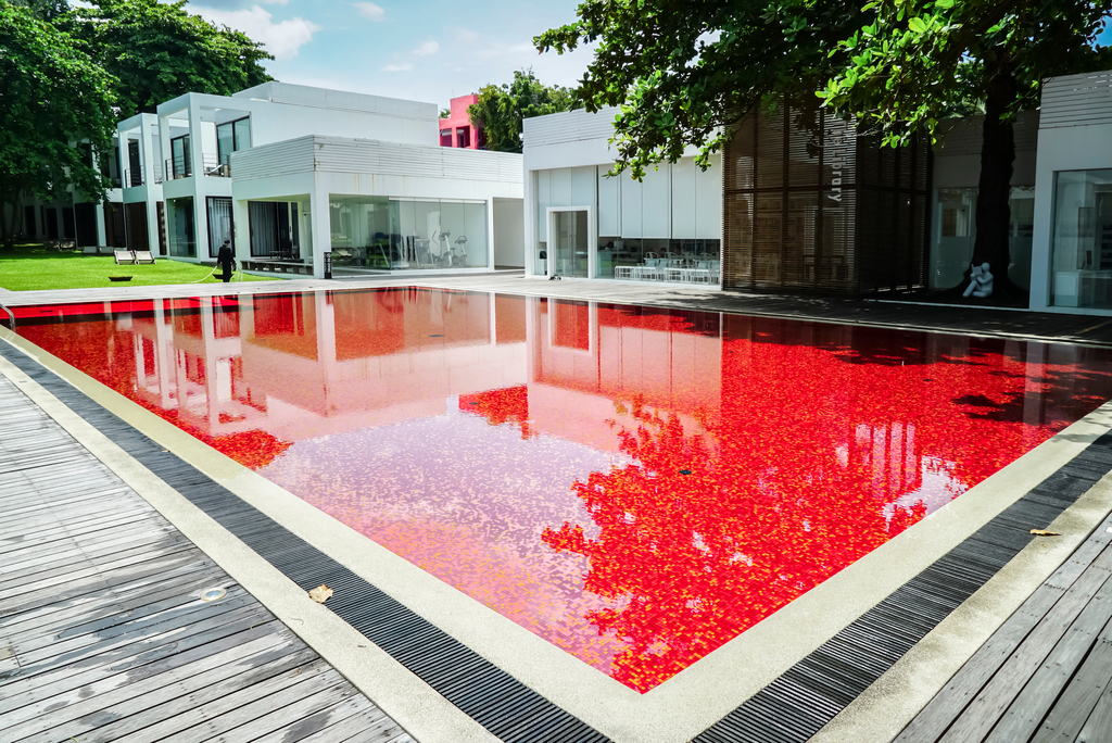 The Library Koh Samui Thailand Most Insane Swimming Pools
