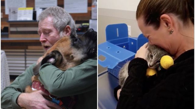 social media reunites pets lost in camp fire with owners.