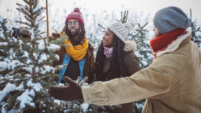 couple choosing a tree is a christmas tree farm