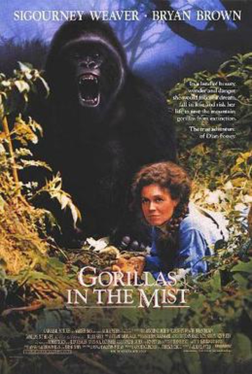 movies based on a true story