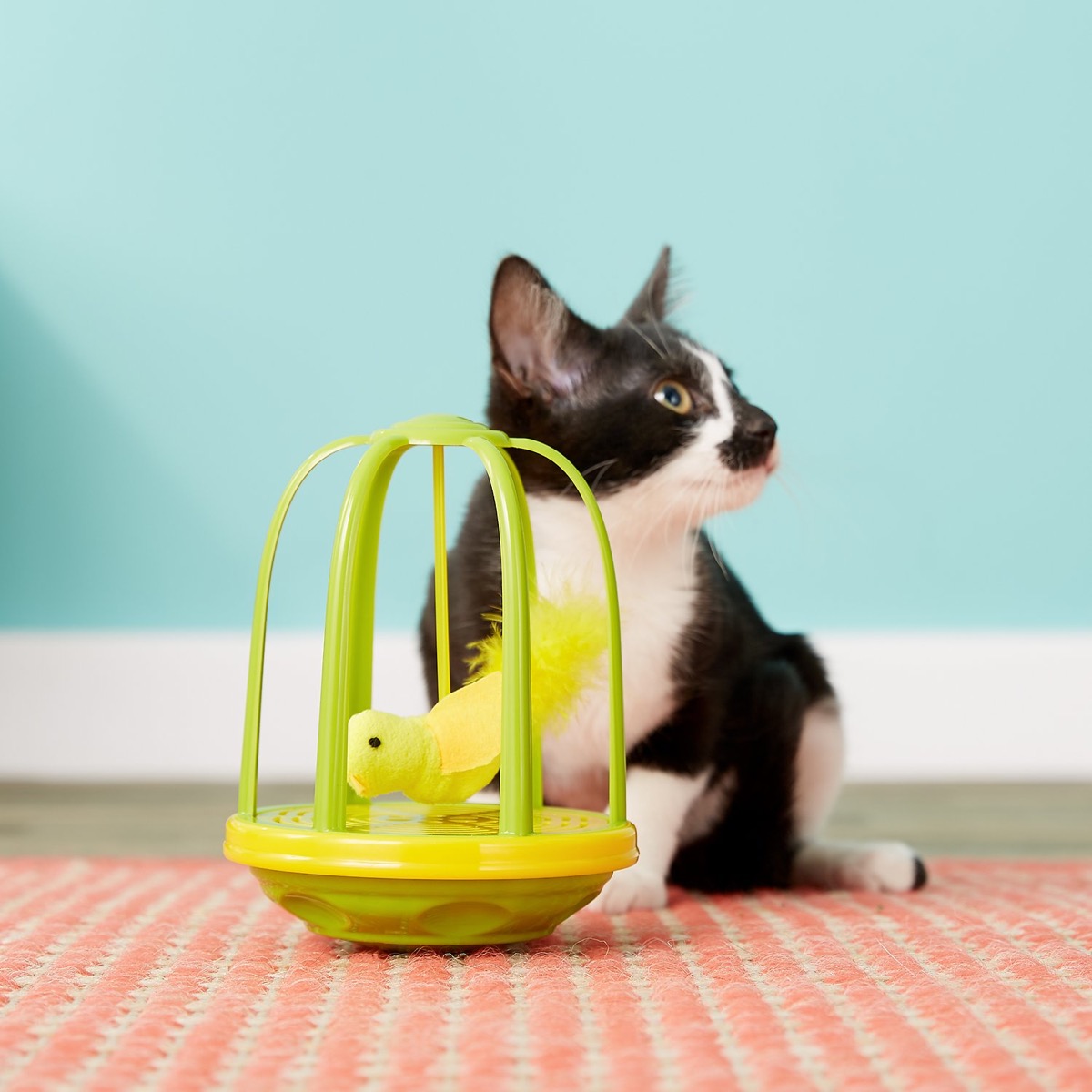 pet gifts