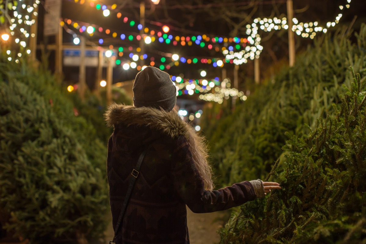 woman standing in a Christmas tree lot