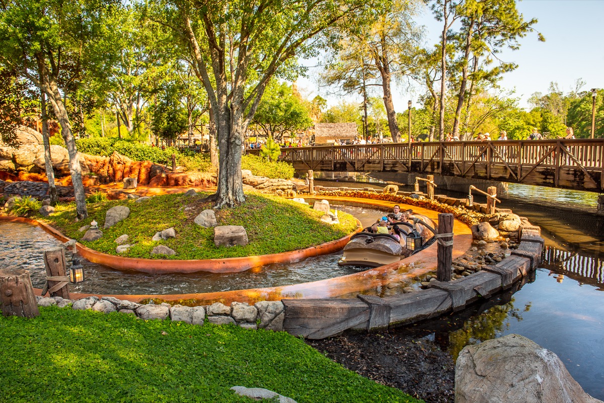 Trees surround Disney's Splash mountain ride on sunny day, Disney facts