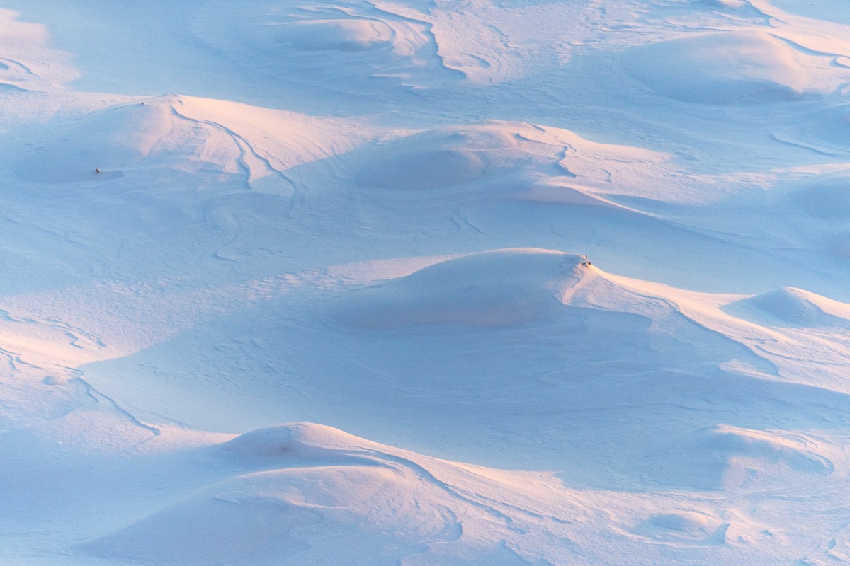 snow fields during the daytime