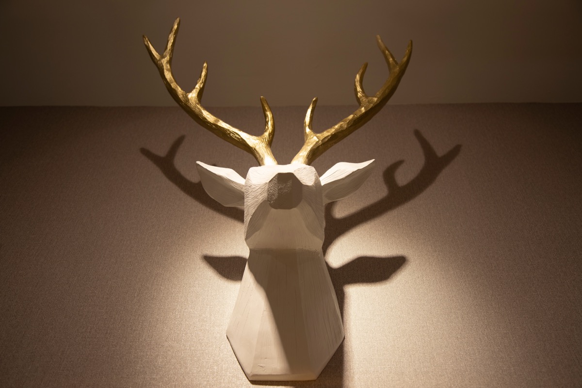 faux taxidermy head