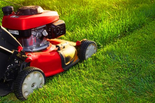 person mowing lawn with electric lawnmower,