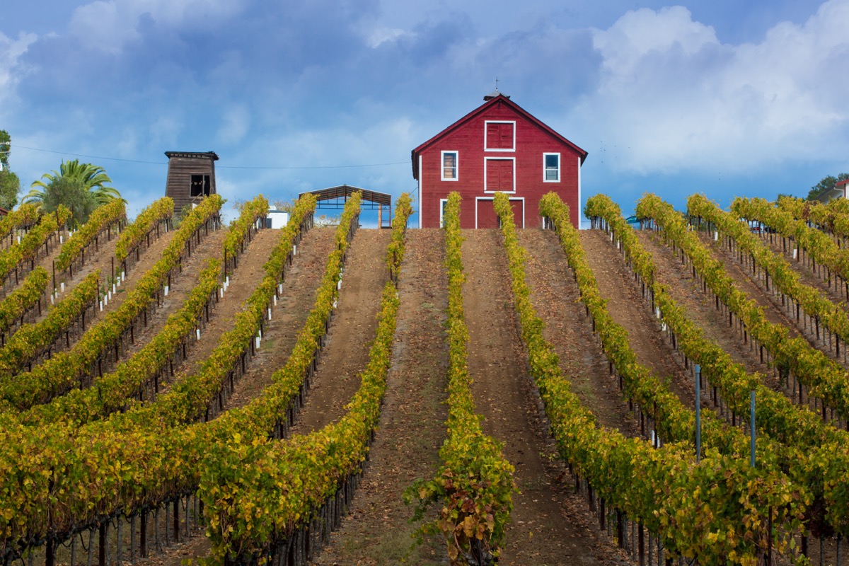 red farmhouse and rows of crops