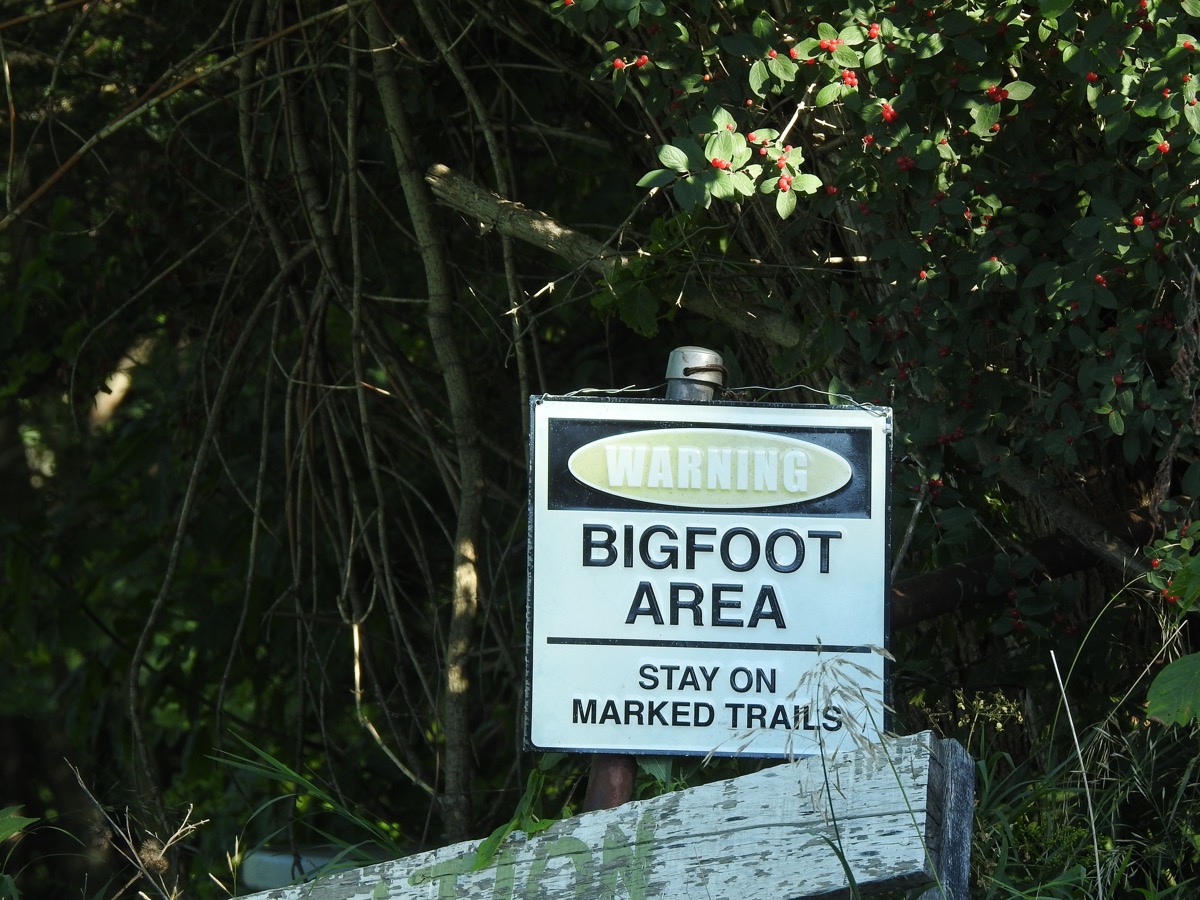 Bigfoot Warning Sign - Bigfoot Festival