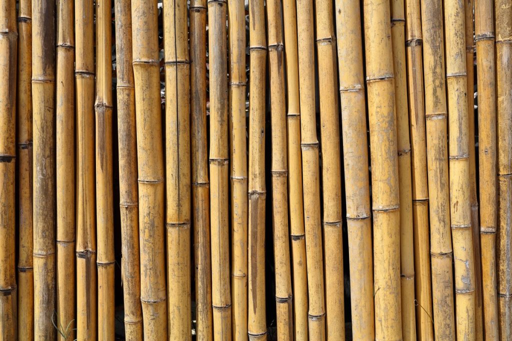bamboo wall