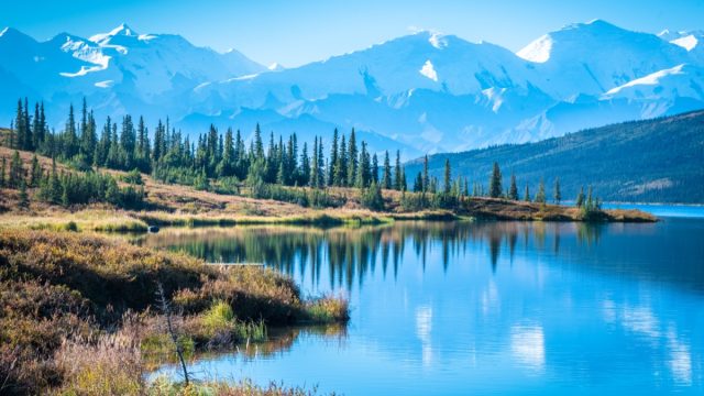 denali national park with mountain background Alaska