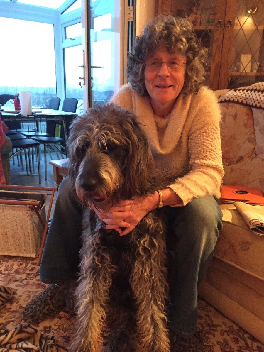 jimmy the dog and judith dogs who look like their owners