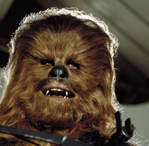 Chewbacca in Return of the Jedi