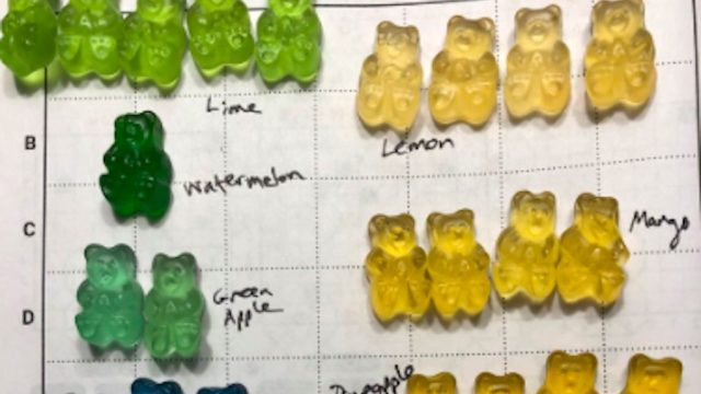 scott barolo's gummi bear experiment on colors and flavors goes viral
