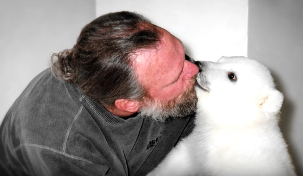 man and polar bear adorable photos of bears