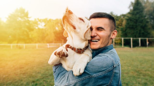 study finds dog owners are happier than cat owner