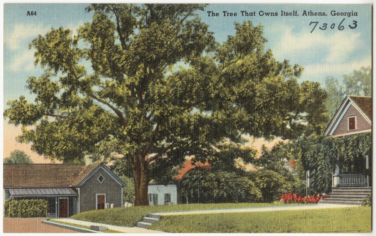 athen georgia tree that owns itself, weird state landmarks