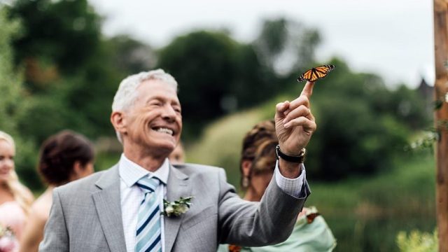 butterflies released at wedding
